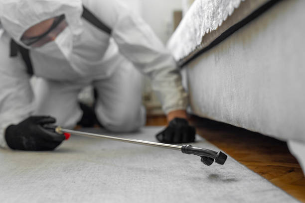 Professional Cockroach Control technician working in Anderson, CA